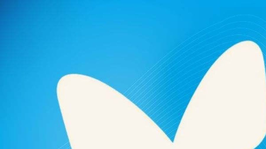 El éxito de Bluesky gracias a una CEO de 33 años que recibe el éxodo de los usuarios de X  20 millones de usuarios y un millón de cuentas al día