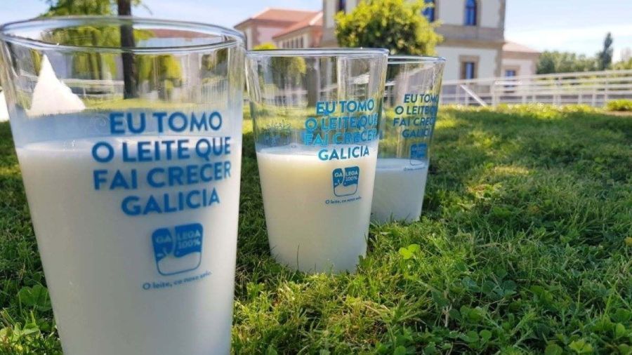 Las empresas participantes en el proyecto  SmartZ4Milk lideran avances clave hacia una  producción láctea sostenible